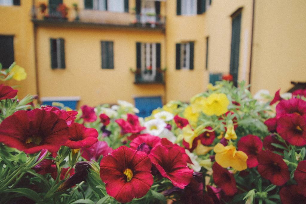 Martindago Bed and Breakfast Φλωρεντία Εξωτερικό φωτογραφία